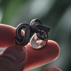 Winding Snake Ring