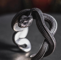 Winding Snake Ring